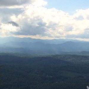 Meet your Posher, Lydia